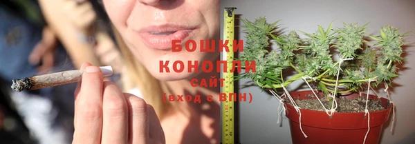PSILOCYBIN Саяногорск