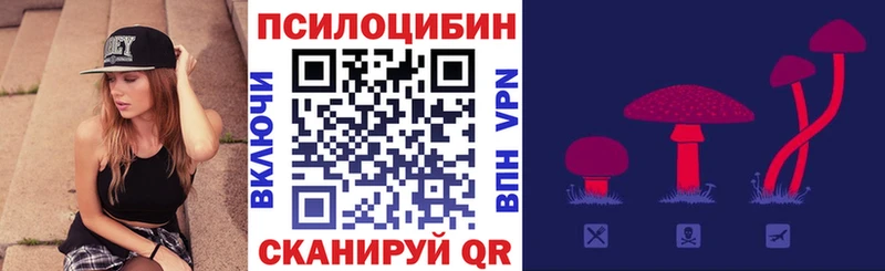 Галлюциногенные грибы мицелий  Новокубанск 