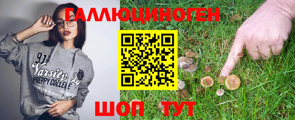 Новокубанск  Галлюциногенные грибы Magic Shrooms  Вход с VPN  Галлюциногенные грибы мухоморы 