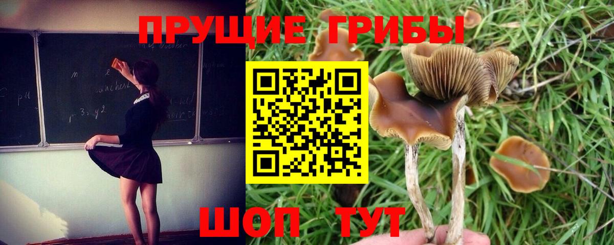 Псилоцибиновые грибы MAGIC MUSHROOMS Новокубанск